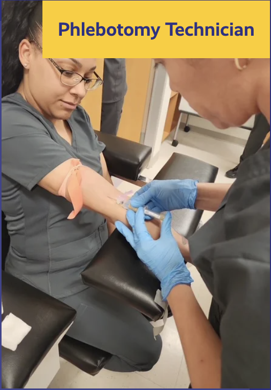 phlebotomy technician