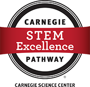 STEM Institution